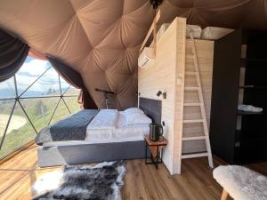 Gallery image of Stargazing Glamping Domes Golte in Mozirje