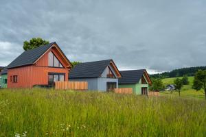a row of houses in a field with grass at Chalet Auszeit im Schönseer Land in Schönsee