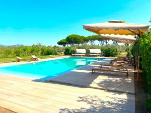 Πισίνα στο ή κοντά στο Villa With Mediterranean Garden In Castiglione +9 φωτογραφίες