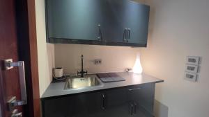 Kuchyň nebo kuchyňský kout v ubytování Guest suite in Beverly Hills Sodic