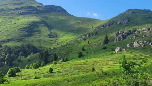 a green hillside with mountains in the background at Kuca Lula Stara planina in Pirot