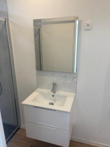a bathroom with a sink and a mirror at cosy 50m2 avec spa et jardin in Boulogne-sur-Mer