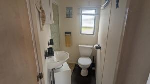 a small bathroom with a toilet and a sink at Seagulls Rest - Dog Friendly - Close to the Beach in Anderby +19 photos