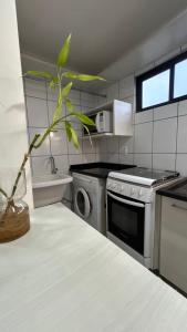 Kuchyň nebo kuchyňský kout v ubytování Ap Ponta Negra