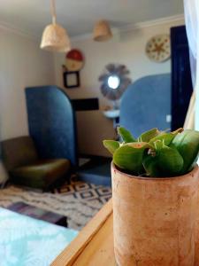 a potted plant sitting on a table in a living room at Moroccan Boho Surf House in Agadir