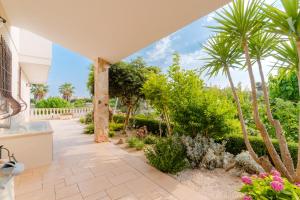 ムーロ・レッチェーゼにあるVilla Domus Olea by Just Houses SRLのヤシの木と家のある中庭