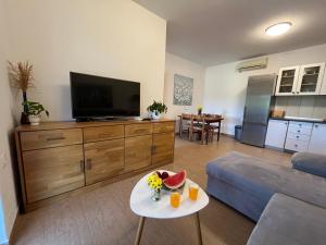 TV a/nebo společenská místnost v ubytování "DeeZee" Apartment