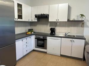 Kuchyň nebo kuchyňský kout v ubytování "DeeZee" Apartment
