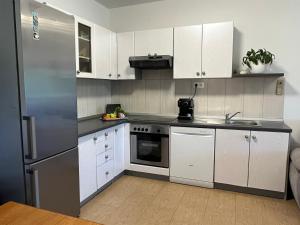 Kuchyň nebo kuchyňský kout v ubytování "DeeZee" Apartment