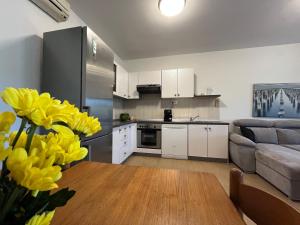 Kuchyň nebo kuchyňský kout v ubytování "DeeZee" Apartment