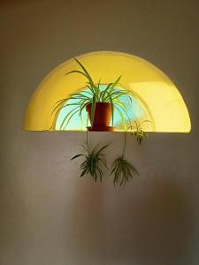 a lamp with a potted plant on top of it at Bellísima cueva acogedora "Casa Olivia" in Gor