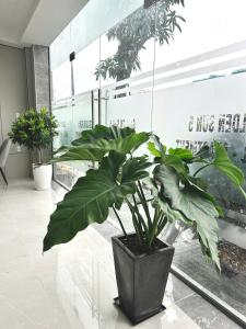 Galeriebild der Unterkunft Golden Sun Hotel Apartments 5 - Diamond Island in Ho-Chi-Minh-Stadt + 75 Fotos