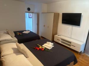 TV a/nebo společenská místnost v ubytování Apartments Vinea