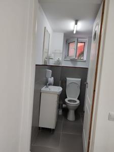 Koupelna v ubytování Casa Muresan