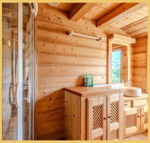 圣热尔韦莱班Appartement La Comtesse I Centre de Saint-Gervais的小木屋浴室配有淋浴和盥洗盆 更多51张照片