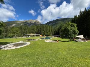 a park with a swimming pool in the grass at Landhaus Cornelia in Berwang