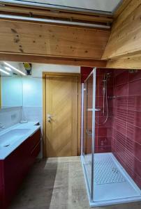 Kúpeľňa v ubytovaní Residence Raethia tra Bormio e Livigno
