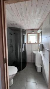 a bathroom with a toilet and a shower and a sink at Fiskekrogen Rorbuer in Henningsvær +22 photos