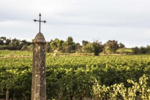 a cross on top of a pole in a field at Chateau Pech-Céleyran in Salles-dʼAude +1 photo