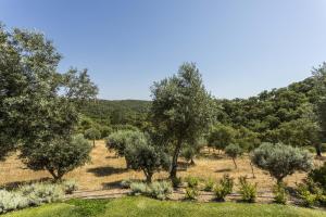 Afbeelding uit fotogalerij van Grandola Mountain Paradise in Grândola