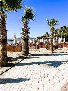 een rij palmbomen op een strand met tafels en stoelen bij A&E Seaside Apartment in Golem