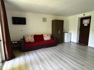 a living room with a red couch and a television at Casa Flori de Sare in Slănic