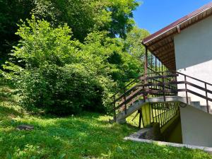 Gallery image of Casa Flori de Sare in Slănic