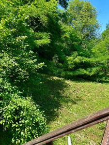 Gallery image of Casa Flori de Sare in Slănic +27 photos