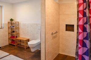 a bathroom with a toilet and a shower at Waldfrieder Ferienwohnungen in Lauterbach +35 photos