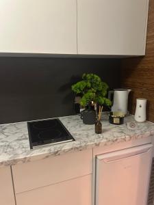 Φωτογραφία από το άλμπουμ του Oasis of salt σε Tuzla