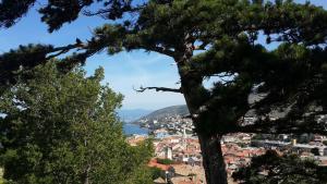 a view of a city from between two trees at Jasmina in Senj