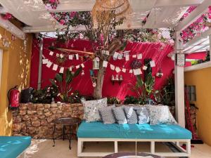 Φωτογραφία από το άλμπουμ του Orange Terrace Hostel σε Αλμπουφέιρα