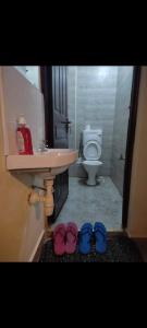 Koupelna v ubytování Vio's place