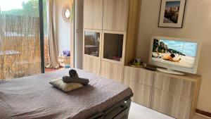 un salon avec une télévision à écran plat sur un centre de divertissement dans l'établissement Bohemia, à La Grande Motte