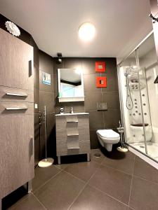 a bathroom with a shower and a toilet and a sink at El Brezo con vistas a la Pulchra in León