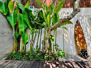 een groep bomen en planten naast een hek bij Modern Villa near Seminyak & Canggu, Large Pool in Kerobokan