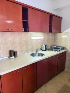 Η κουζίνα ή μικρή κουζίνα στο Exclusive Apartments with Lake view