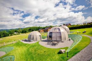 A garden outside Wisła Glamping