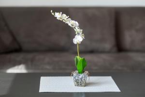 Fotografie z fotogalerie ubytování Ferienwohnung Eva v destinaci Grebenhain