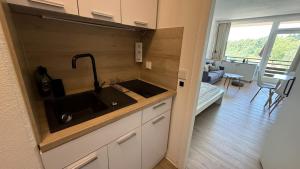 une cuisine avec un évier et un salon dans l'établissement Lake Lodge am Kranichsee - Hahnenklee im Harz, à Goslar 12 autres photos