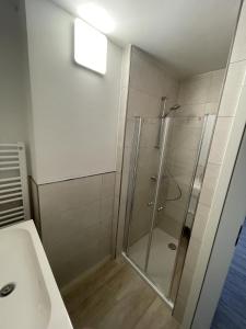 a shower with a glass door in a bathroom at Appartementhaus Brunsholm in Esgrus
