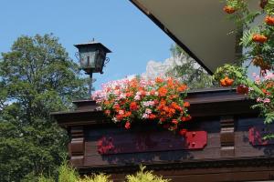 Taman di luar Pension Dachsteinhof