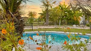 a small swimming pool with flowers in a yard at Tsumkwe Country Lodge in Tsumkwe