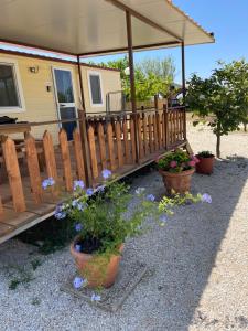 Balkón nebo terasa v ubytování Agricampeggio Ginevra