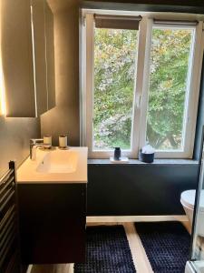 Un baño con lavabo y ventana. en Crossborder Nest - Appartement de standing proche du circuit SPA-FRANCORCHAMPS et des HAUTES-FAGNES, en Verviers 25 fotos más
