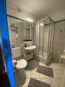 a bathroom with a toilet and a shower and a sink at #Steuerbord# direkt an der Ostsee in Schönberg