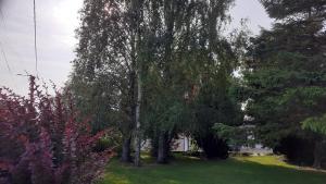 Giardino di Studio du gite