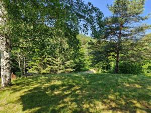 a grassy field with trees on a hill at BendjiLand - vacation hideaway, close to Sofia in Ribarica +11 photos
