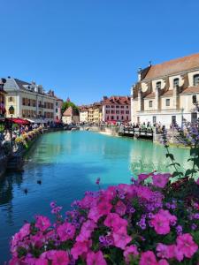 a view of a river with pink flowers and buildings at Lac & Nest in Annecy +16 photos