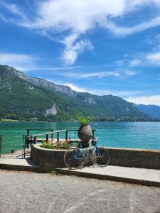 a bike parked next to the water with a basket at Lac & Nest in Annecy